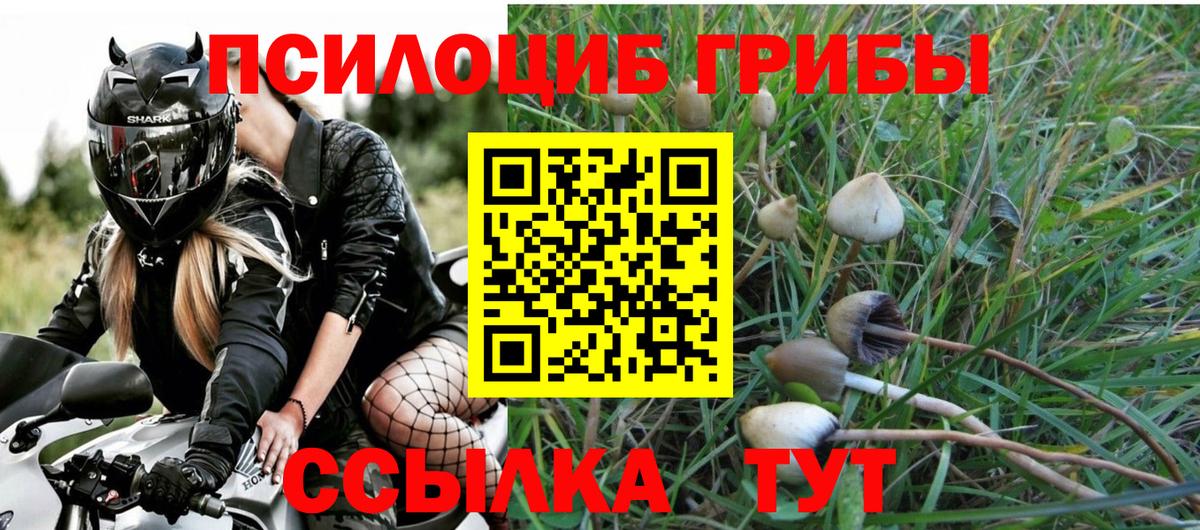 сколько стоит  Галлюциногенные грибы MAGIC MUSHROOMS  Вход с VPN  Саратов 